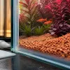 Le siliconage au service de l’aquarium : entretien, protection et qualité de vie pour les poissons