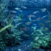 Petits poissons de banc : ce qui change entre rasboras, néons, hachettes et tétras