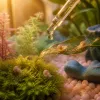 Bébés escargots en aquarium : guide expert pour les passionnés de poissons et d’invertébrés