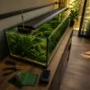 Éclairage LED d'aquarium : choisir le bon spectre sans se ruiner