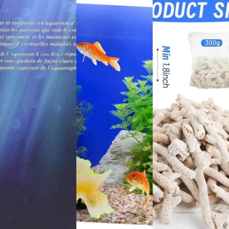 Les meilleurs écosystèmes aquatiques : notre top 7 (2026)