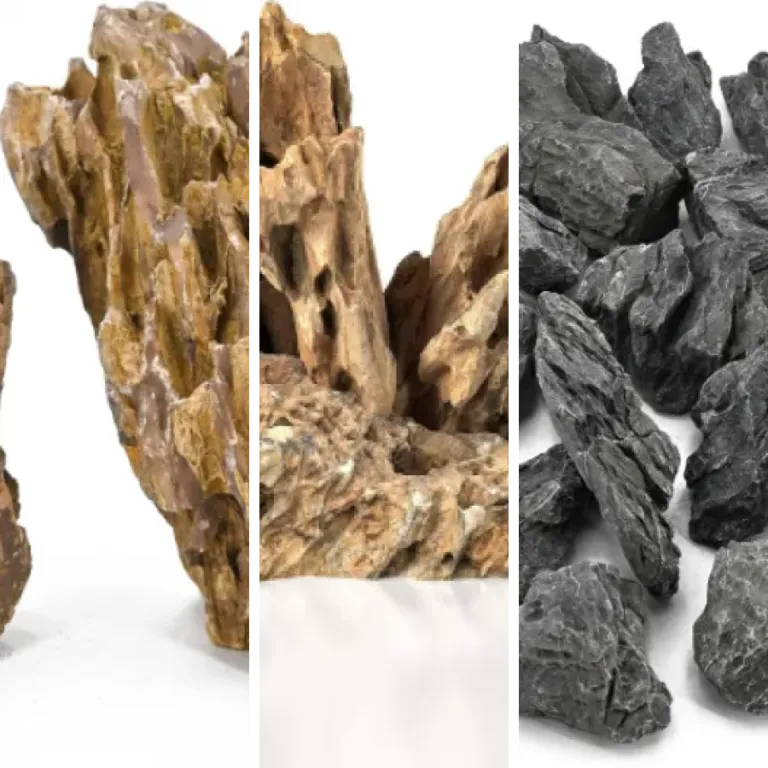 Les 4 meilleurs roches naturelles (2026)