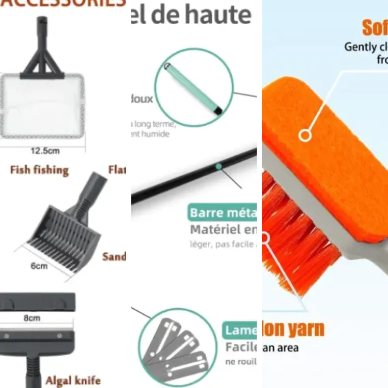 Notre sélection des 6 meilleurs brosses et éponges (2026)