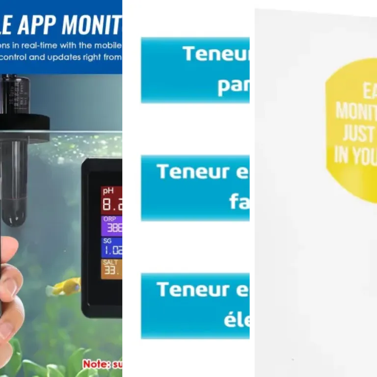 Guide d'achat : les 4 meilleurs tests pH (2026)