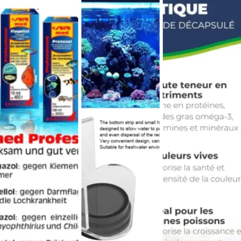 Les meilleurs vers congelés : notre top 4 (2026)