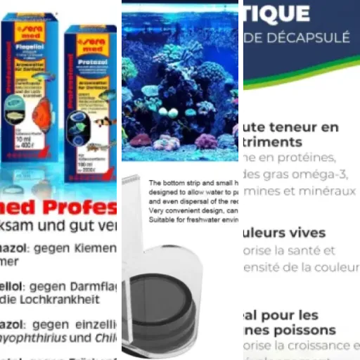 Top Vers congelés