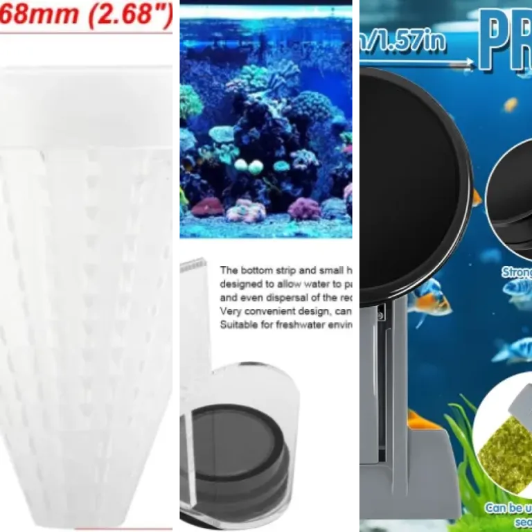 Quel anneaux d’alimentation choisir ? Top 7 (2026)