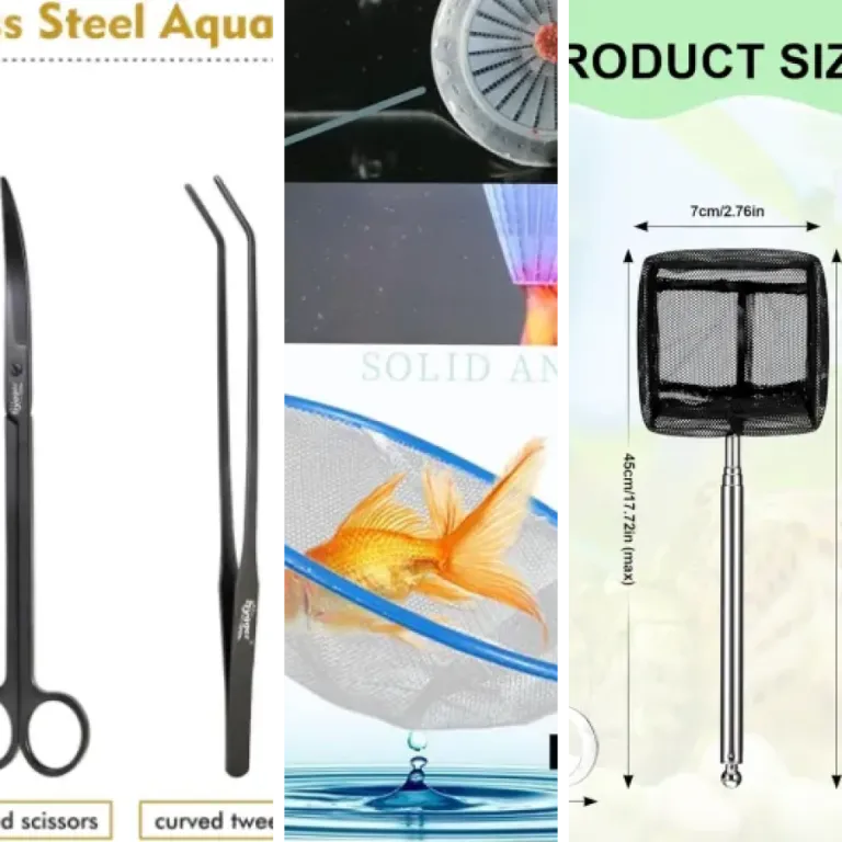 Top 5 : meilleurs outils de plantation (2026)