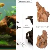 Top Aquascaping et décoration