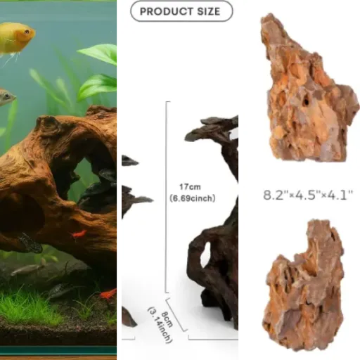 Top Aquascaping et décoration