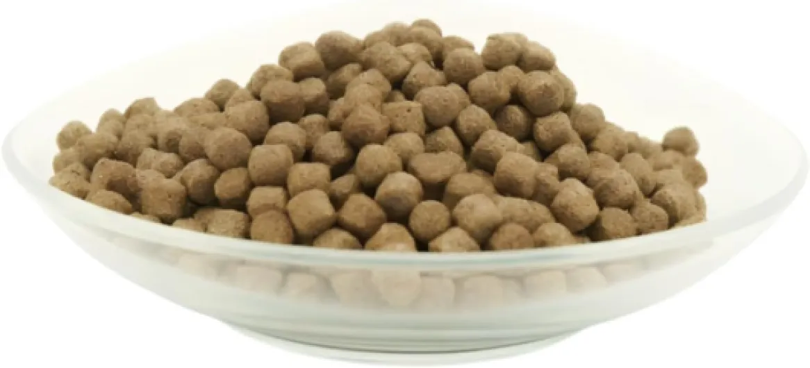 Health - Nourriture pour carpes koï 10 kg / 6 mm - Nourriture pour koï pour Une Bonne Digestion avec Actigen pour Soutenir Le système immunitaire et FORPLUS (algues Riches en oméga-3).