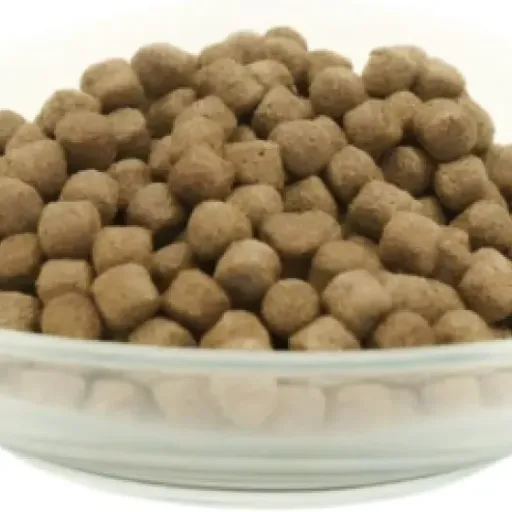 Test KIJAKO Health 10 kg : une nourriture pour koï sérieuse pour la digestion et l’immunité