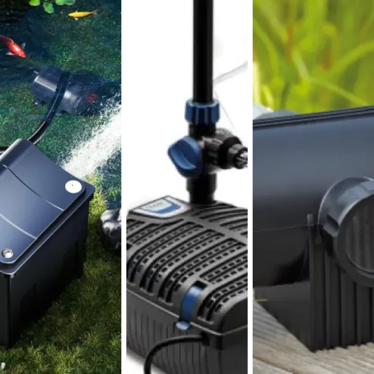 Quel uV bassin choisir ? Top 6 (2026)