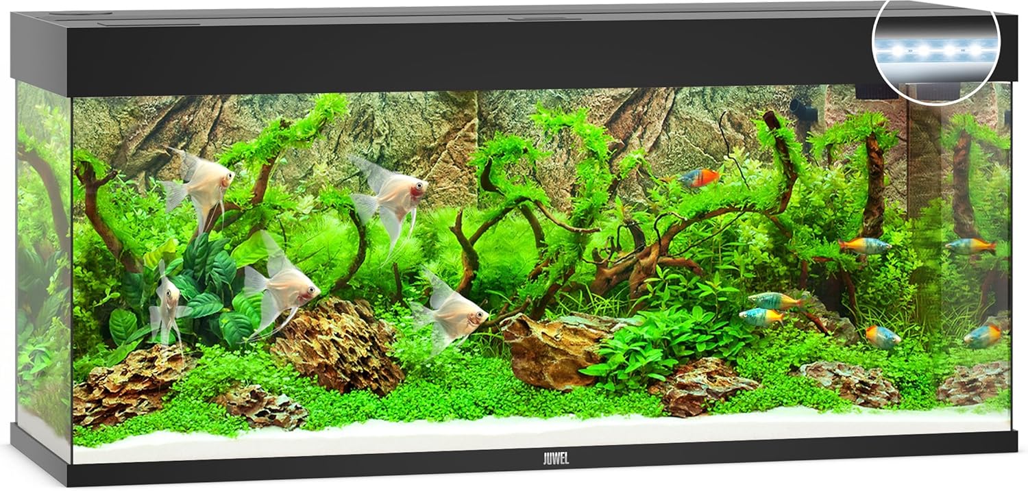 JUWEL Aquarium RIO 240 LED, Noir, 55x121x41 Noir Aquarium
