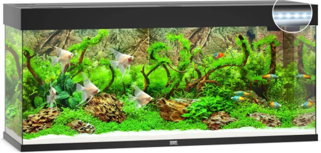 JUWEL Aquarium RIO 240 LED, Noir, 55x121x41 Noir Aquarium