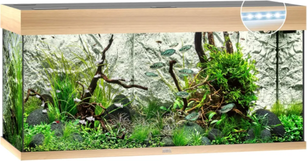 JUWEL Aquarium RIO 180 LED Bois Clair, 50x101x41 Chêne Clair Aquarium