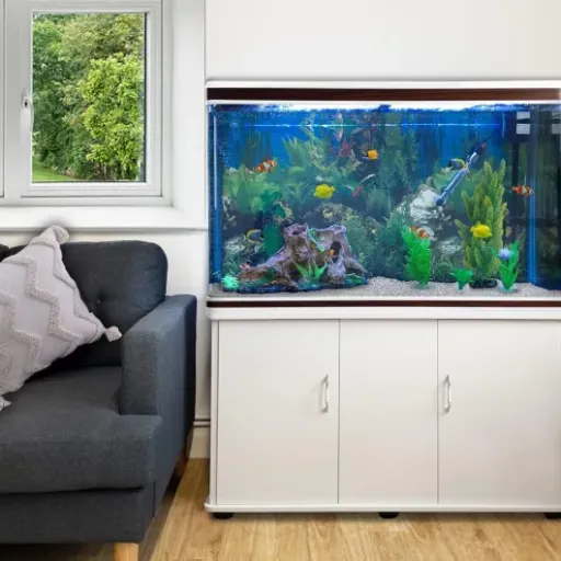 Test Aquarium complet 300 L Monster Shop : un gros kit clé en main pour se lancer sans se prendre la tête