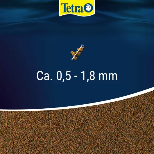 817p6CoiAnL._AC_SL1500_