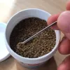 Test Fluval Bug Bites Micro Granules : des insectes au menu, et des poissons contents