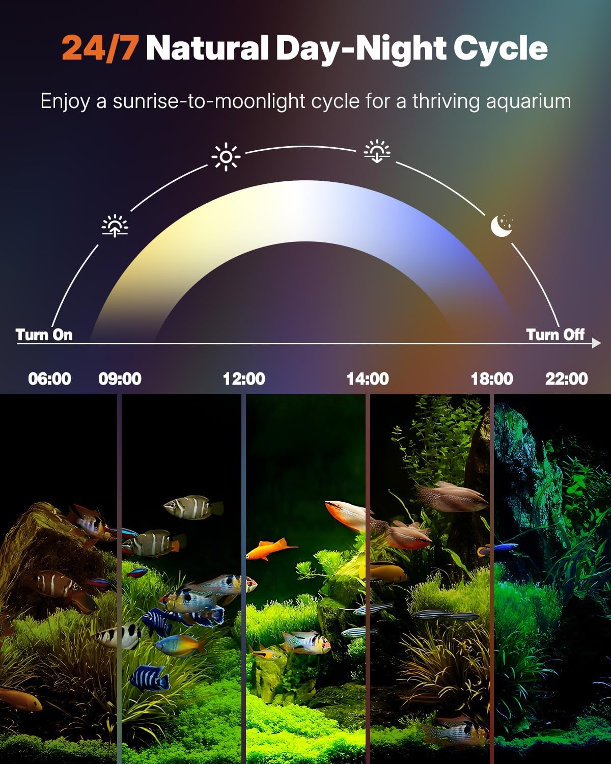 40 cm LED Lampe Aquarium Lampe d'aquarium submersible avec minuterie marche/arrêt automatique, éclairage RGB LED bleu et blanc changeant de couleur pour aquariums