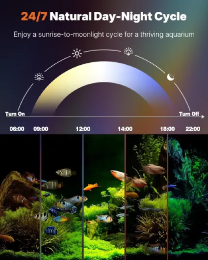 40 cm LED Lampe Aquarium Lampe d'aquarium submersible avec minuterie marche/arrêt automatique, éclairage RGB LED bleu et blanc changeant de couleur pour aquariums
