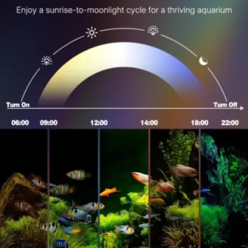 Test Pawfly 40 cm LED Lampe Aquarium : une rampe pas chère avec vrai mode 24/7