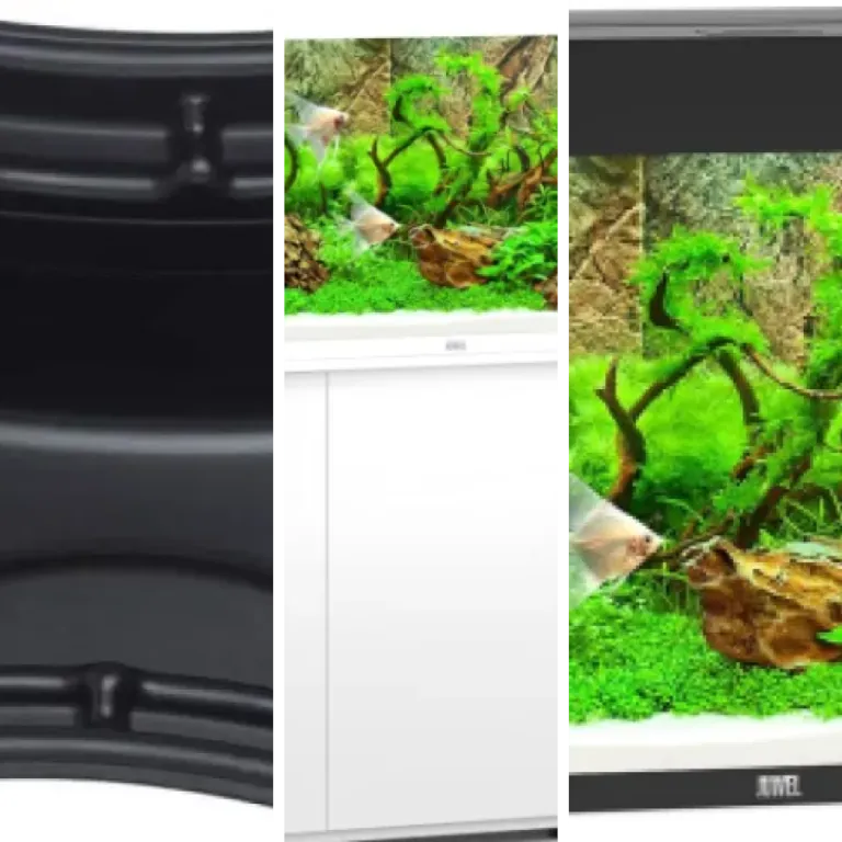 Top 5 : meilleurs aquariums grands volumes (août 2026)