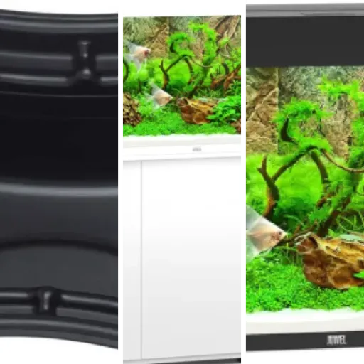 Top Aquariums grands volumes
