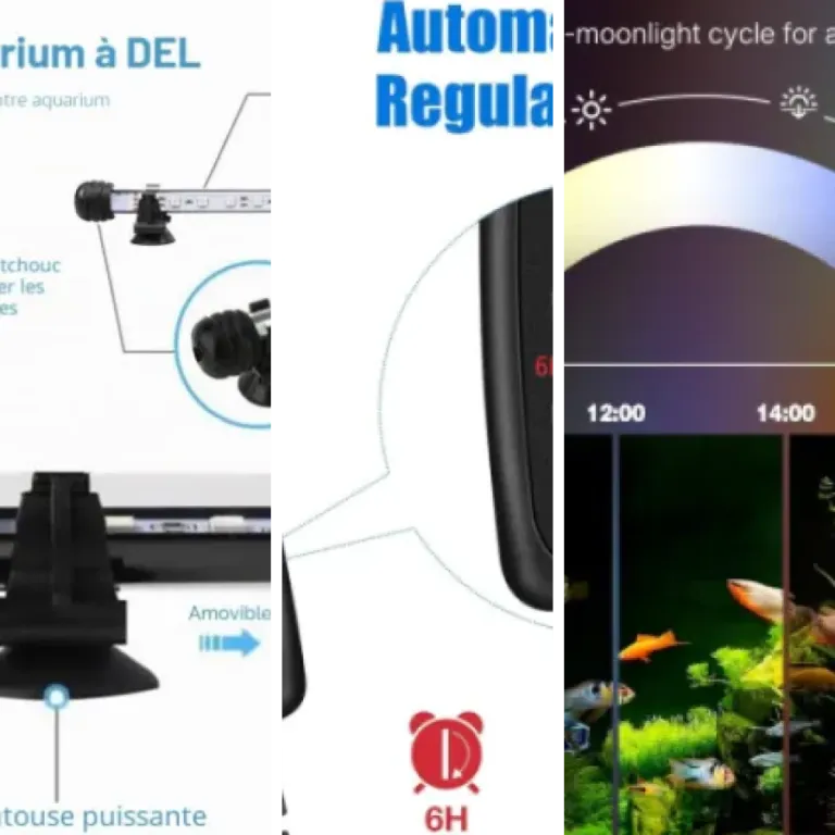 Quel éclairages LED submersibles choisir ? Top 5 (2026)