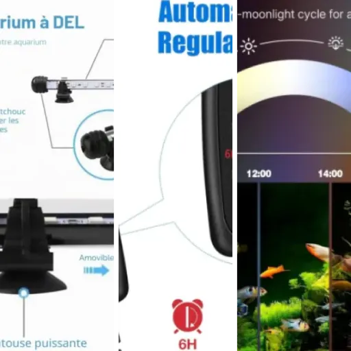 Quel éclairages LED submersibles choisir ? Top 5 (juillet 2026)