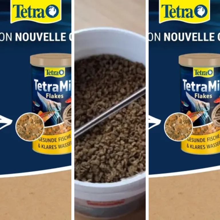 Classement des 5 meilleurs nourriture poissons tropicaux (2026)