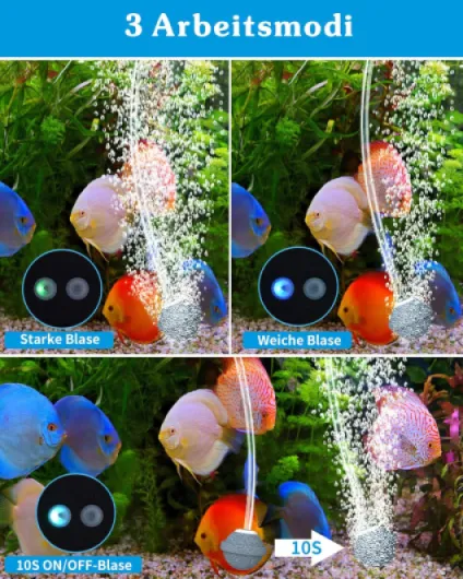 81g3j7Y4hjL._AC_SL1500_