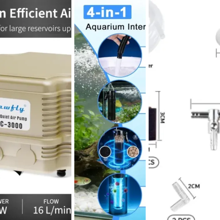 Les meilleurs pompes à air et diffuseurs : notre top 4 (2026)