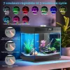 Test AQQA Kit de Démarrage Aquarium 14 L : un petit bac complet, mais avec quelques limites