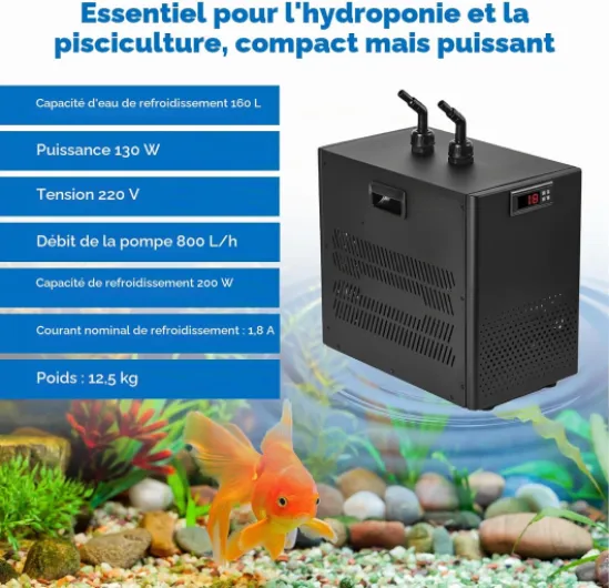 71AvaZsSAkL._AC_SL1500_