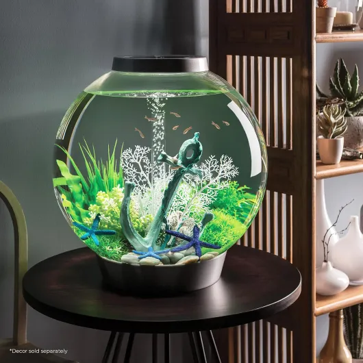 CLASSIC 60 LED noir 60 litres noir