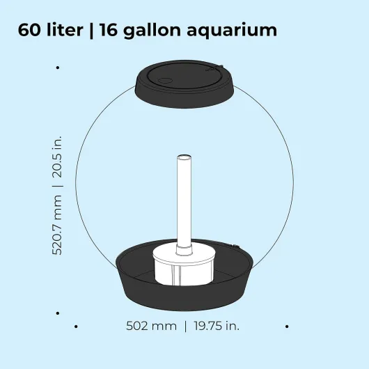 61f7QWjtn6L._AC_SL1500_