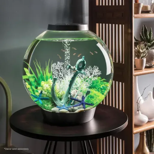 Test biOrb CLASSIC 60 LED noir : un bel aquarium sphérique, mais pas sans défauts
