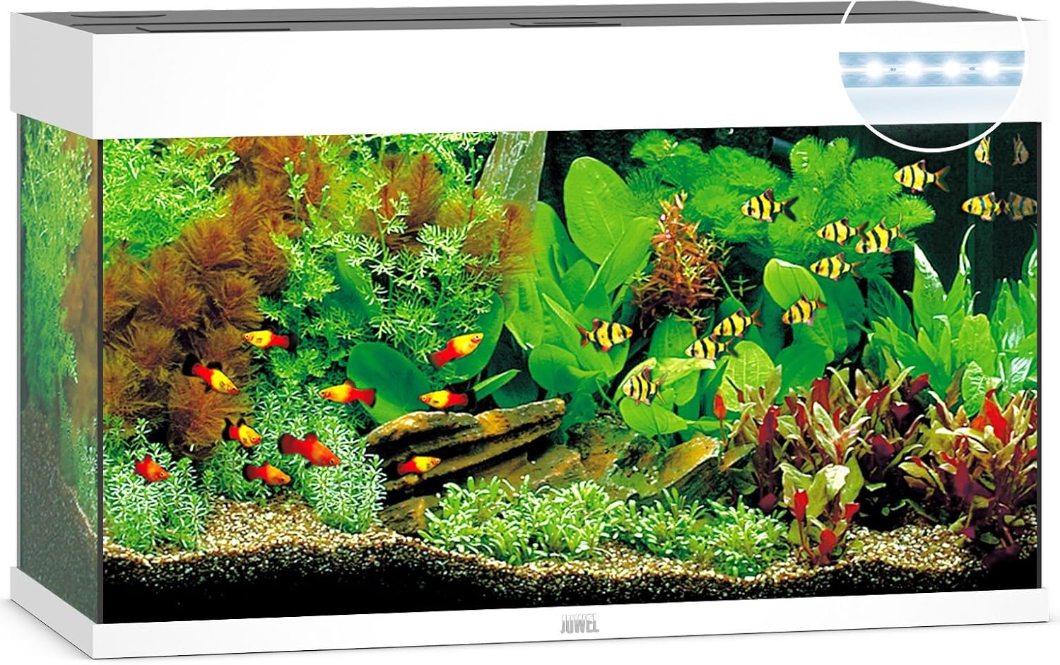 JUWEL Aquarium Rio 125 LED Blanc 2 x 14 W Blanc Aquarium