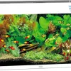 Test JUWEL Aquarium Rio 125 LED Blanc : un kit sérieux pour se lancer proprement en aquario