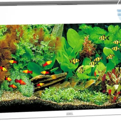 Test JUWEL Aquarium Rio 125 LED Blanc : un kit sérieux pour se lancer proprement en aquario